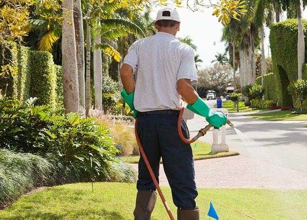 About Bloomington ID Pest Control